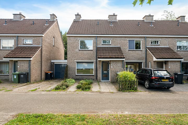 Foto 1 van Bonte Kraai 25