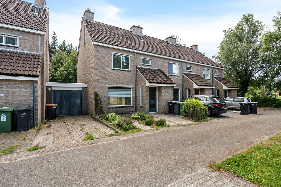 Foto 2 van Bonte Kraai 25