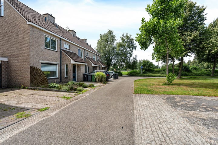 Foto 3 van Bonte Kraai 25