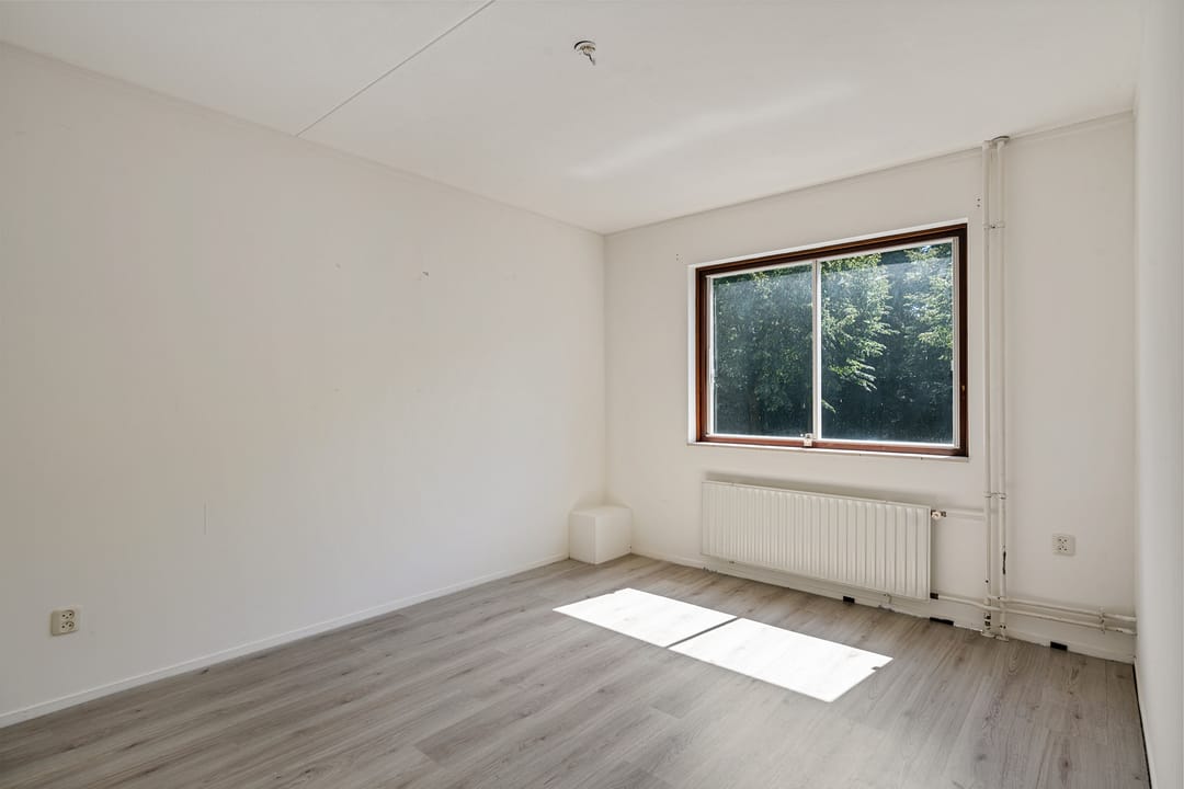 Foto 13 van Bonte Kraai 25