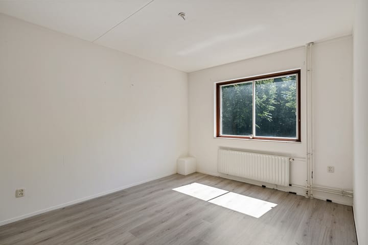 Foto 13 van Bonte Kraai 25