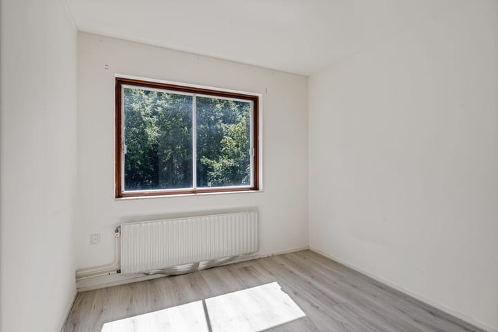 Foto 14 van Bonte Kraai 25