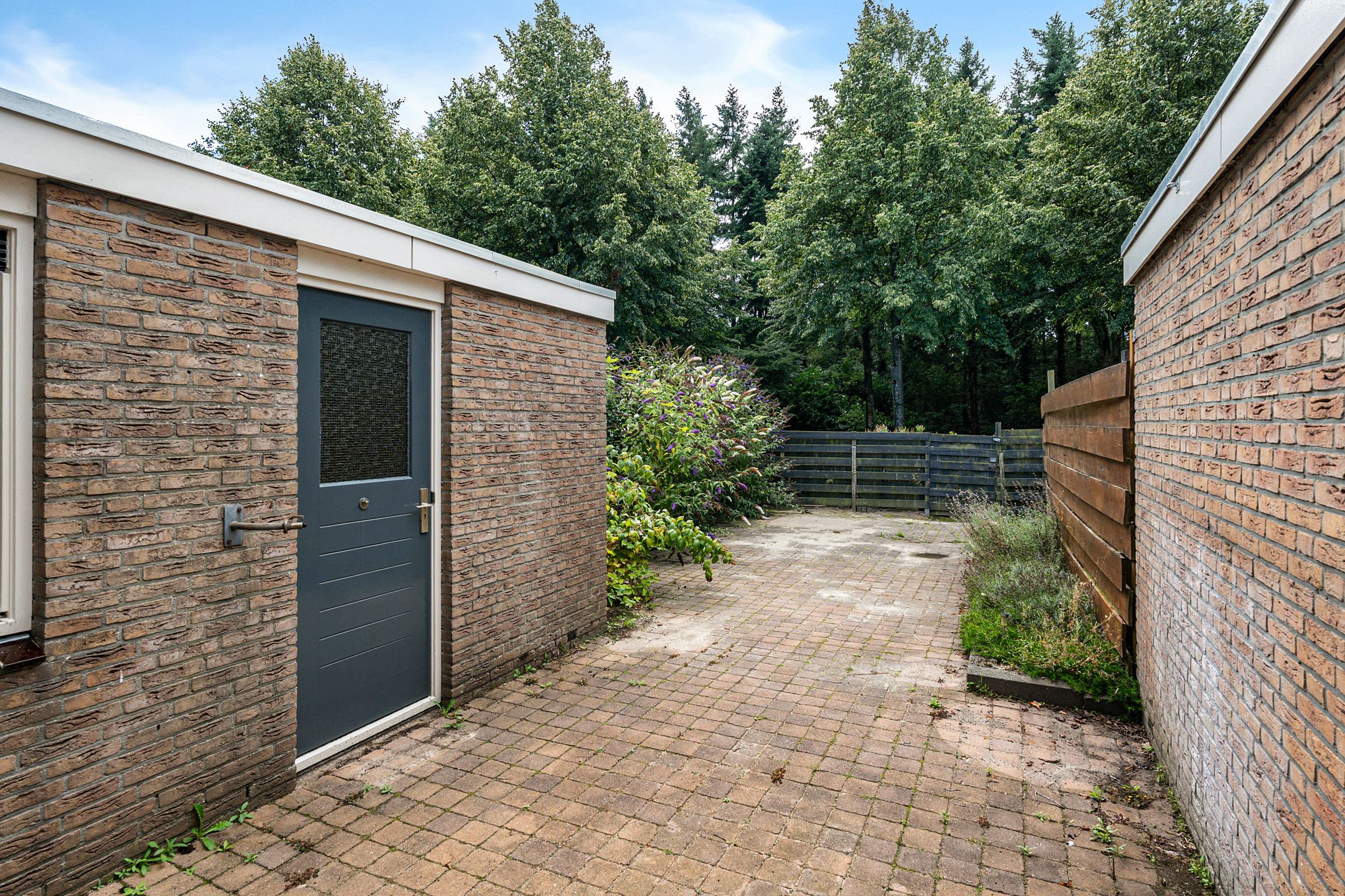 Foto 18 van Bonte Kraai 25