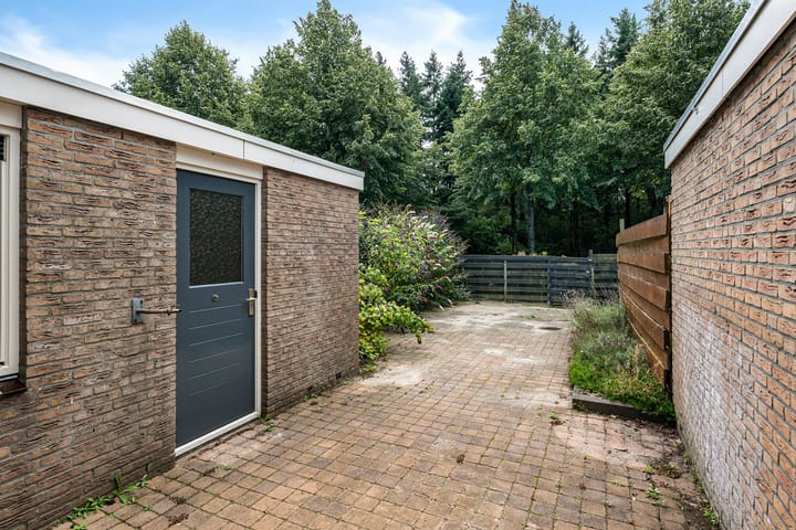 Foto 18 van Bonte Kraai 25