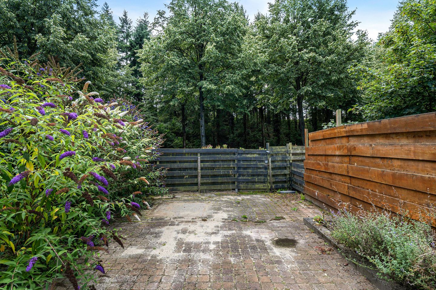 Foto 19 van Bonte Kraai 25