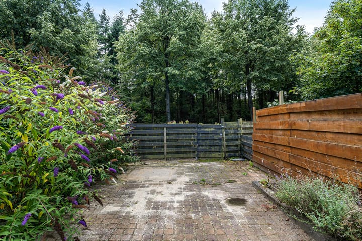 Foto 19 van Bonte Kraai 25