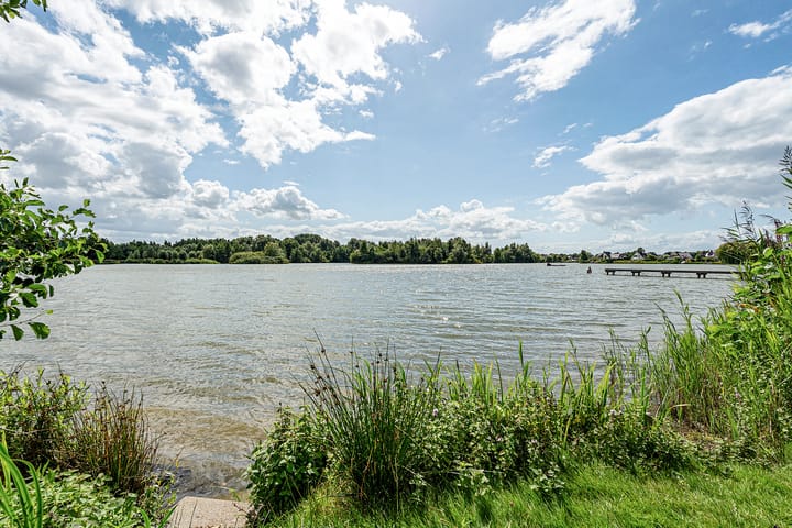 Foto 21 van Bonte Kraai 25