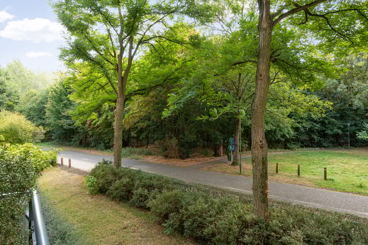 Foto 36 van Heunpark 4032