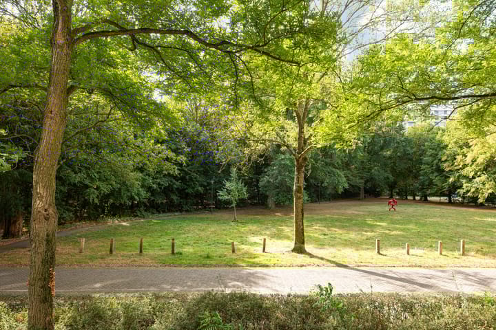 Foto 37 van Heunpark 4032