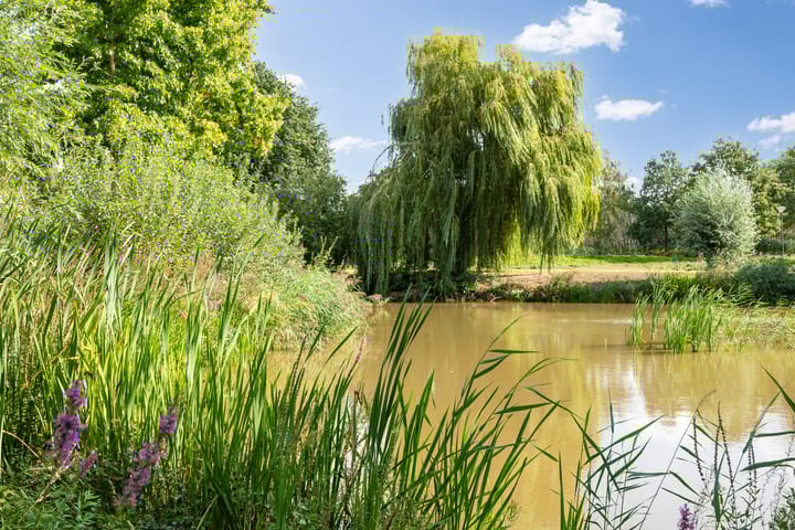 Foto 42 van Heunpark 4032