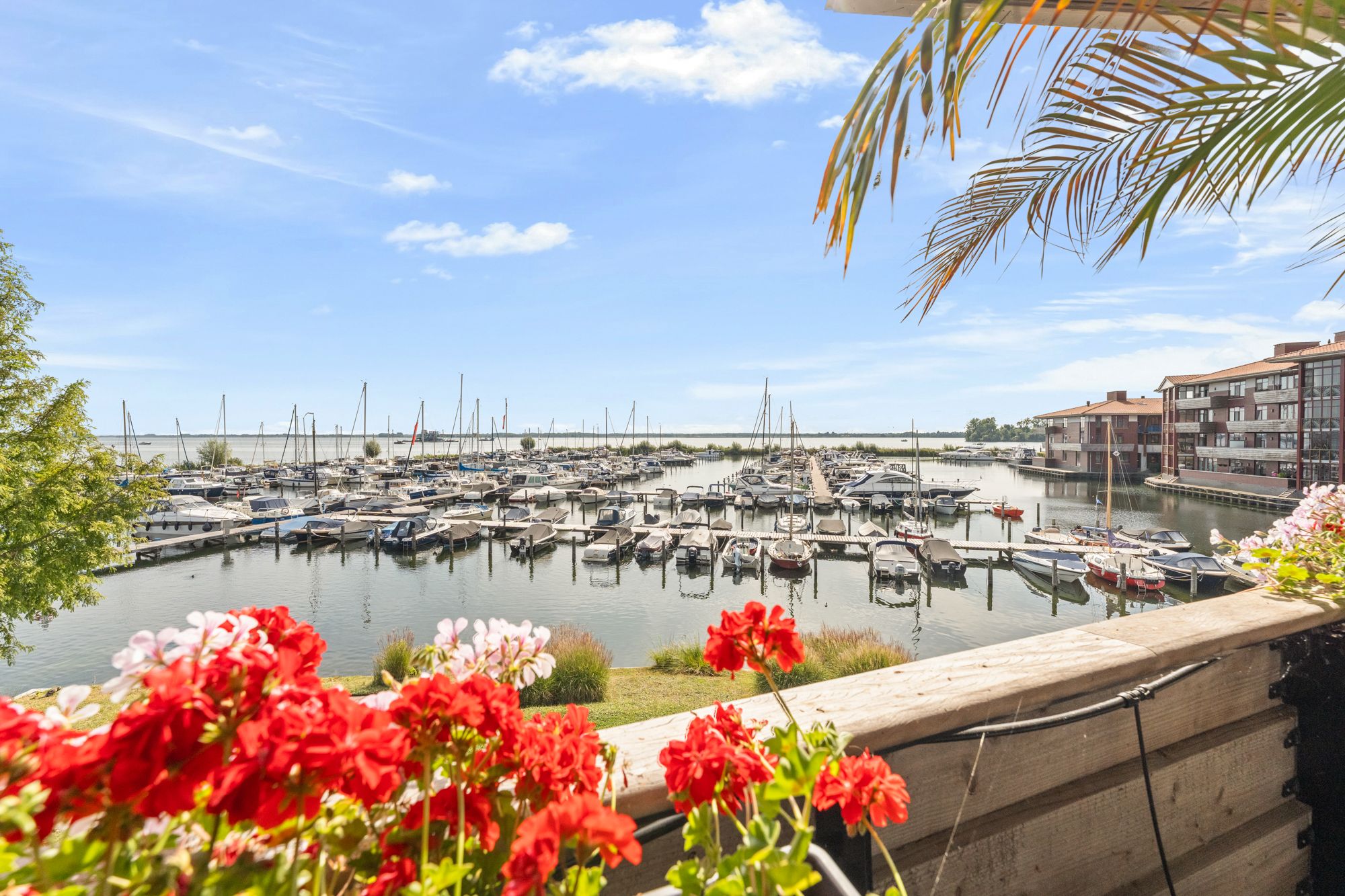 Photo 3 of Zuiderzee op Zuid 36