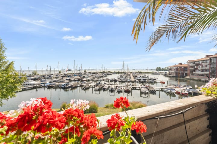 Foto 3 van Zuiderzee op Zuid 36