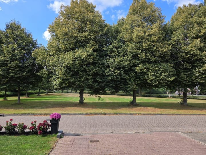 Photo 24 of Bereklauw 48