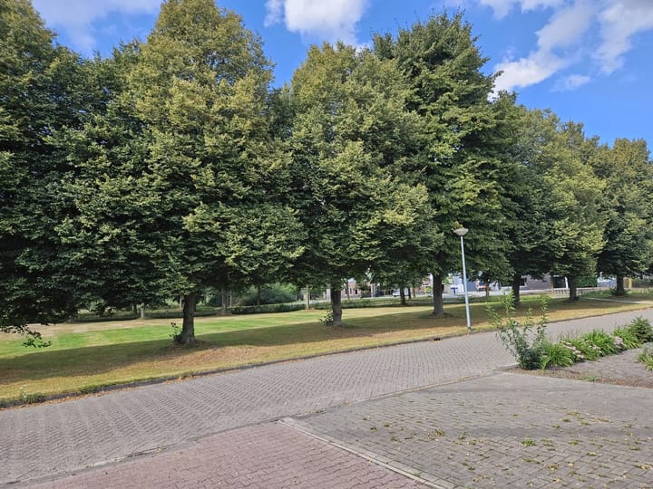 Photo 25 of Bereklauw 48