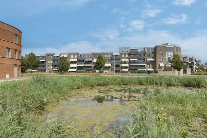 Foto 27 van Zeemanstraat 100