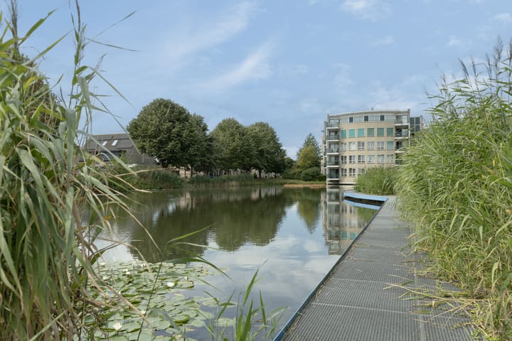 Foto 31 van Zeemanstraat 100