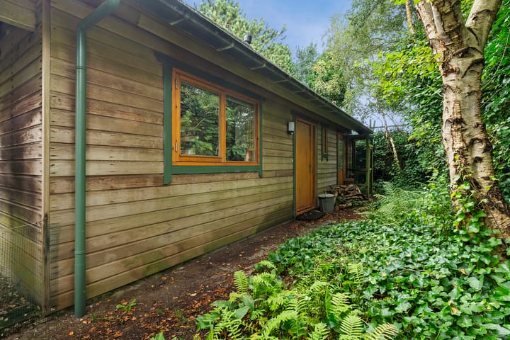 Photo 5 of Vuurtorenpad 12-A