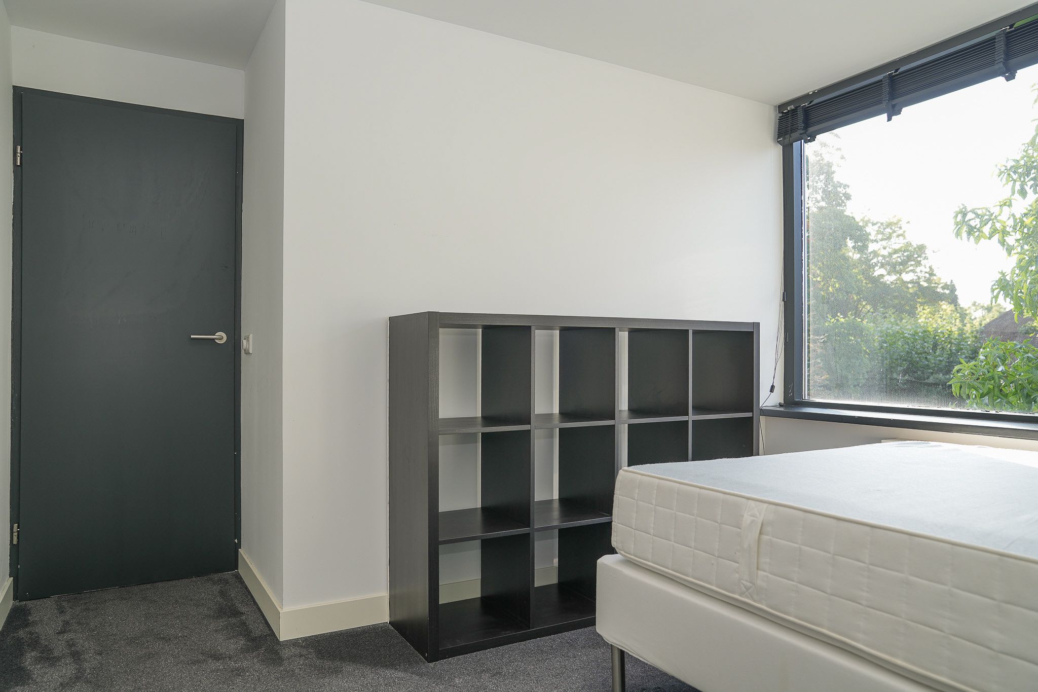 Foto 24 van Paterstraat 54