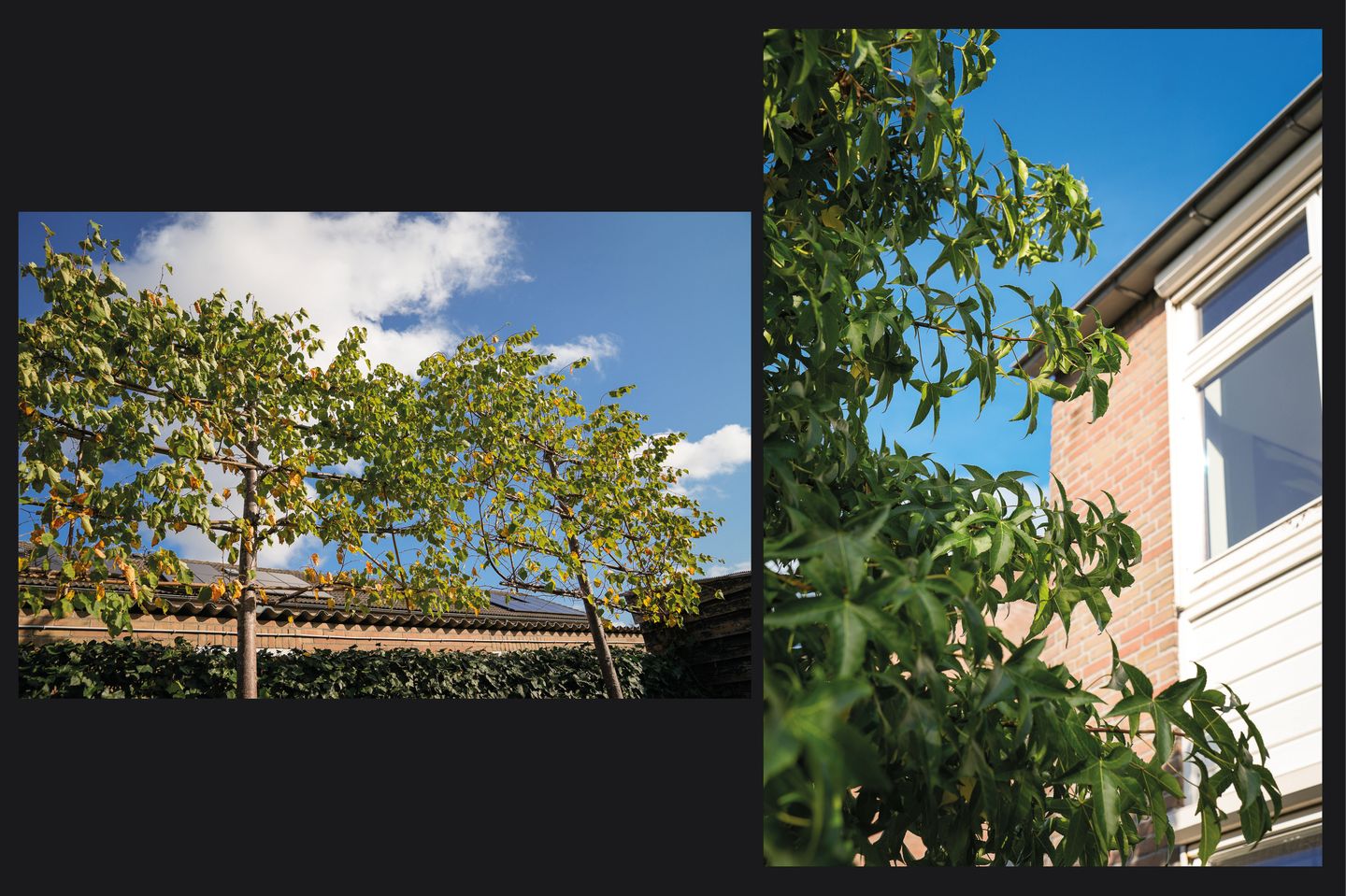 Foto 35 van Paterstraat 54