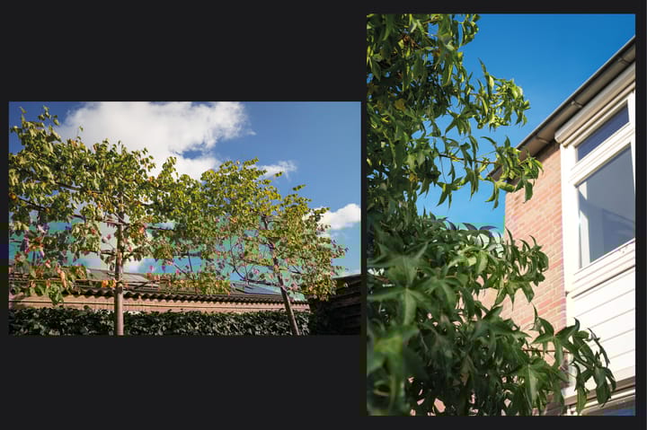 Foto 35 van Paterstraat 54