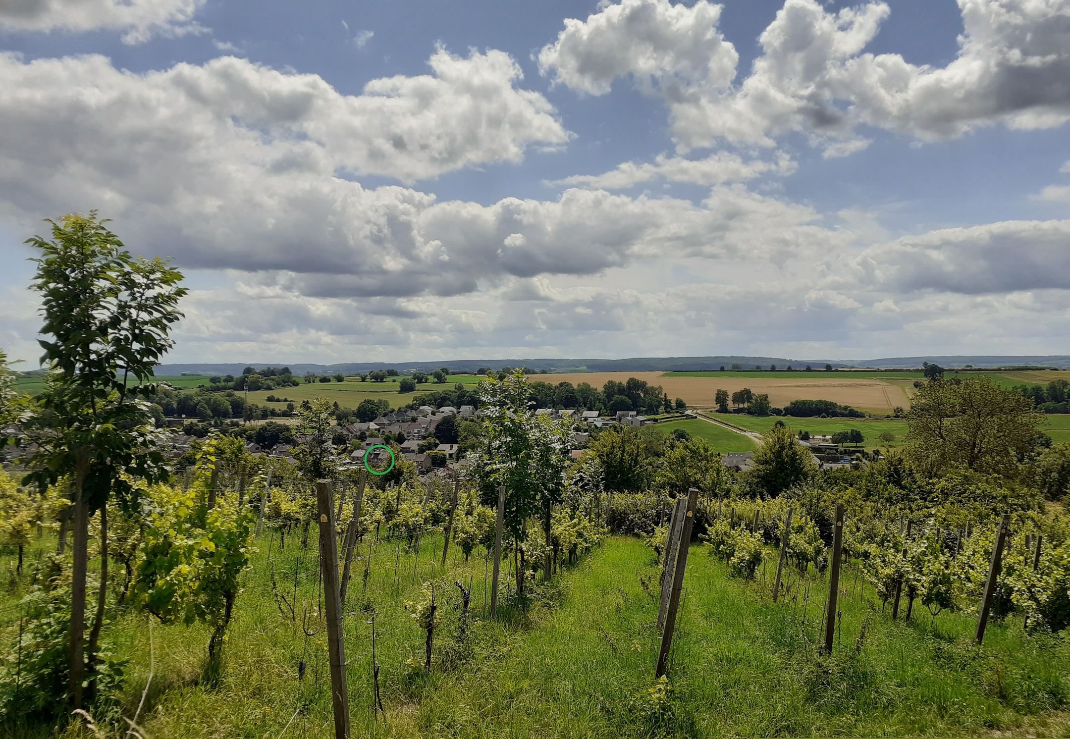 Foto 30 van Hoebigerweg 31