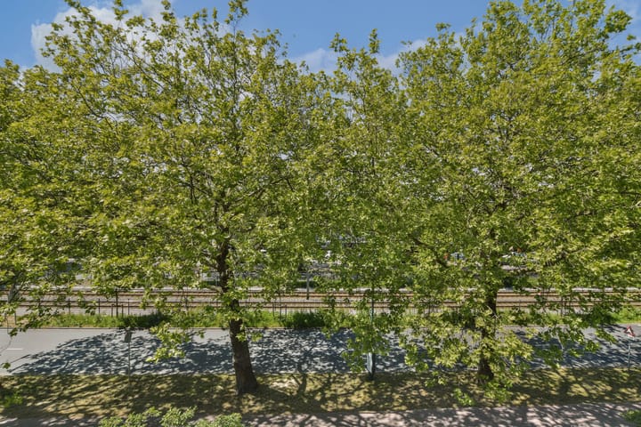 Foto 10 van Onstein 82