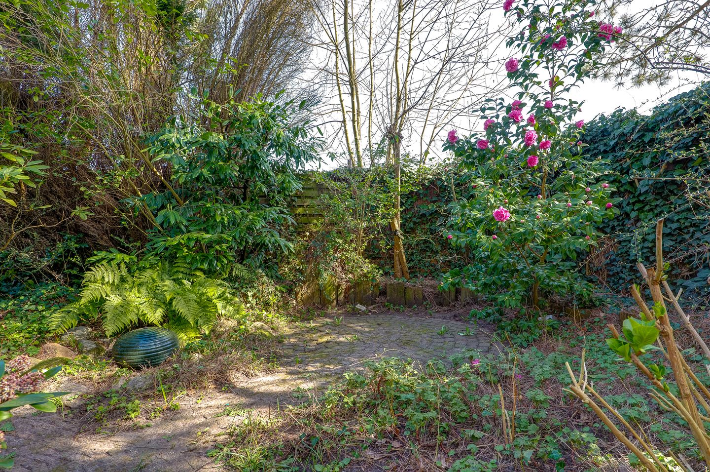 Foto 4 van Van Veldekelaan 11