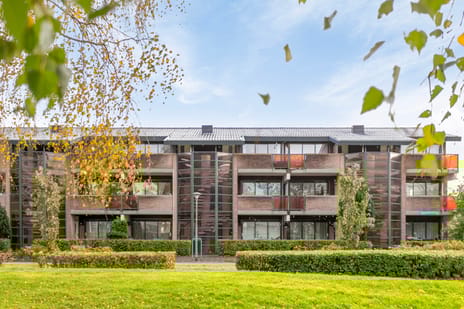 Lavendelplantsoen thumbnail