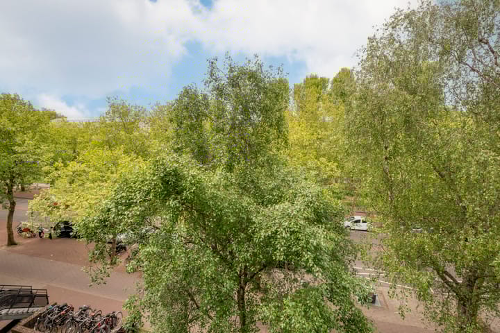 Foto 49 van Kattenburgerstraat 236