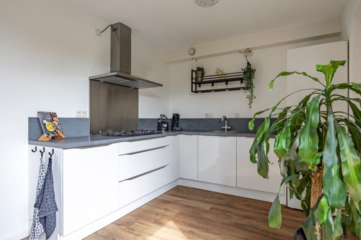 Foto 3 van Klaproos 4