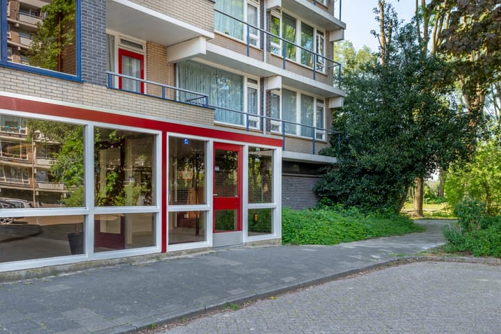 Foto 3 van Tobias Asserlaan 344