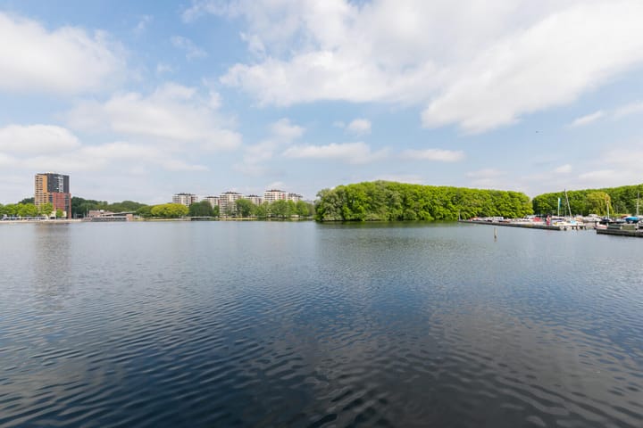 Foto 37 van Eastonstraat 217