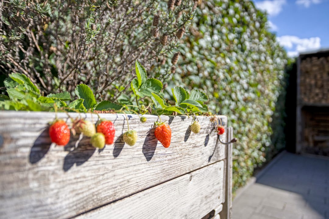 Photo 31 of Anthonie Van Dyckstraat 28