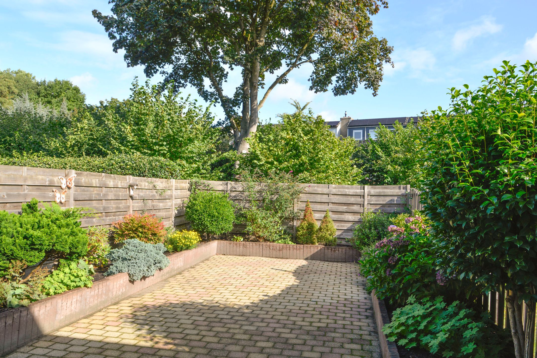 Photo 3 of Rietmeent 38