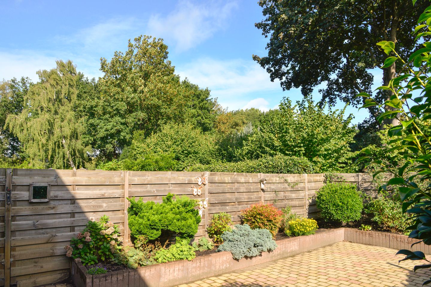 Photo 5 of Rietmeent 38