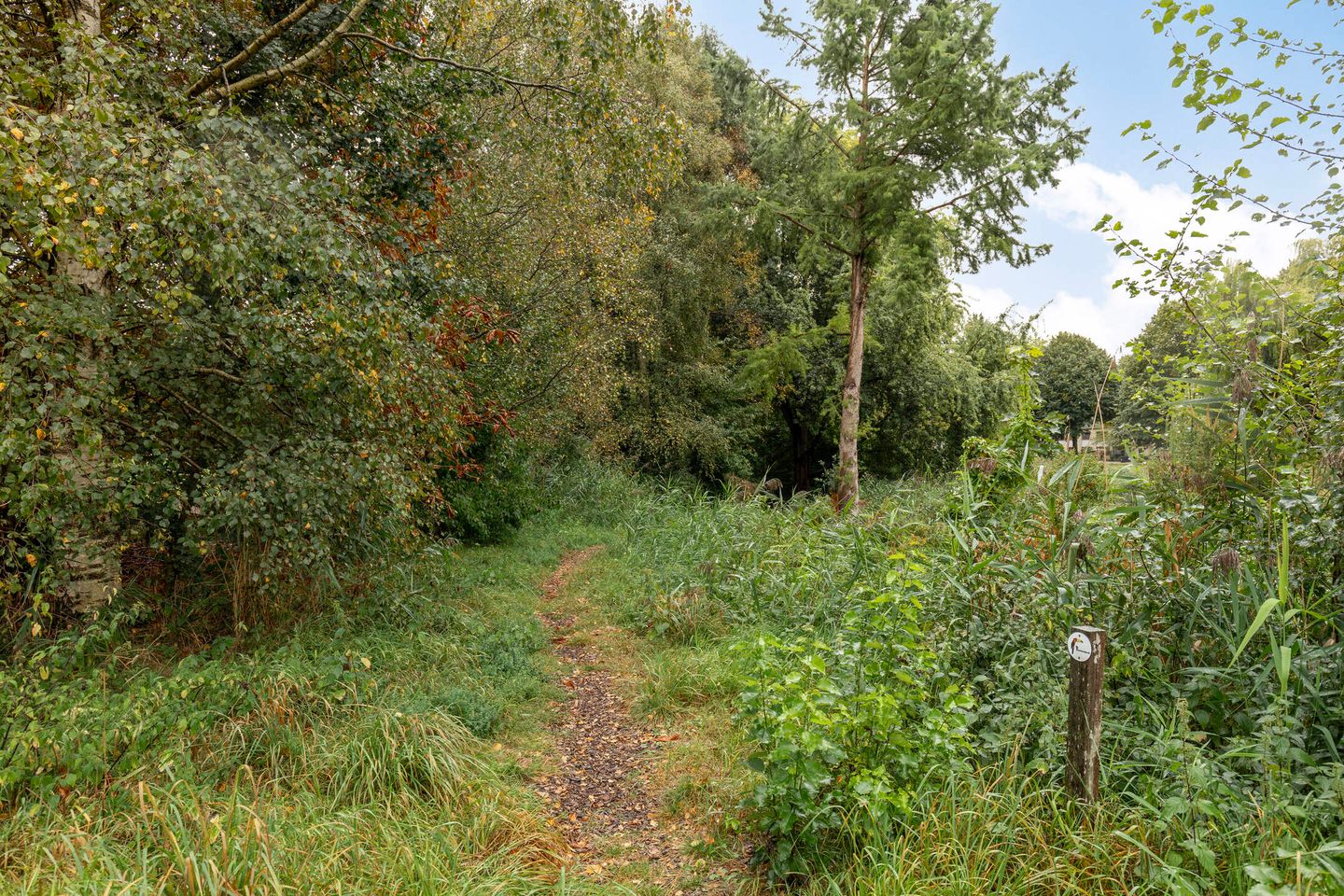 Foto 29 van Truffautstraat 11