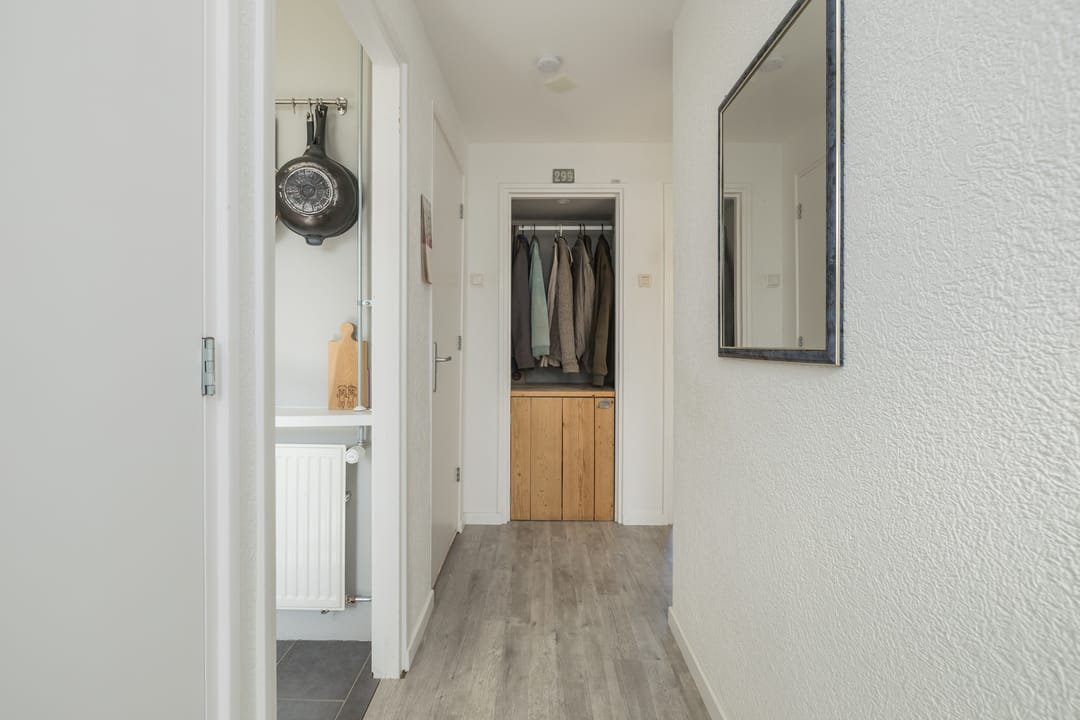 Foto 8 van Faleriolaan 299