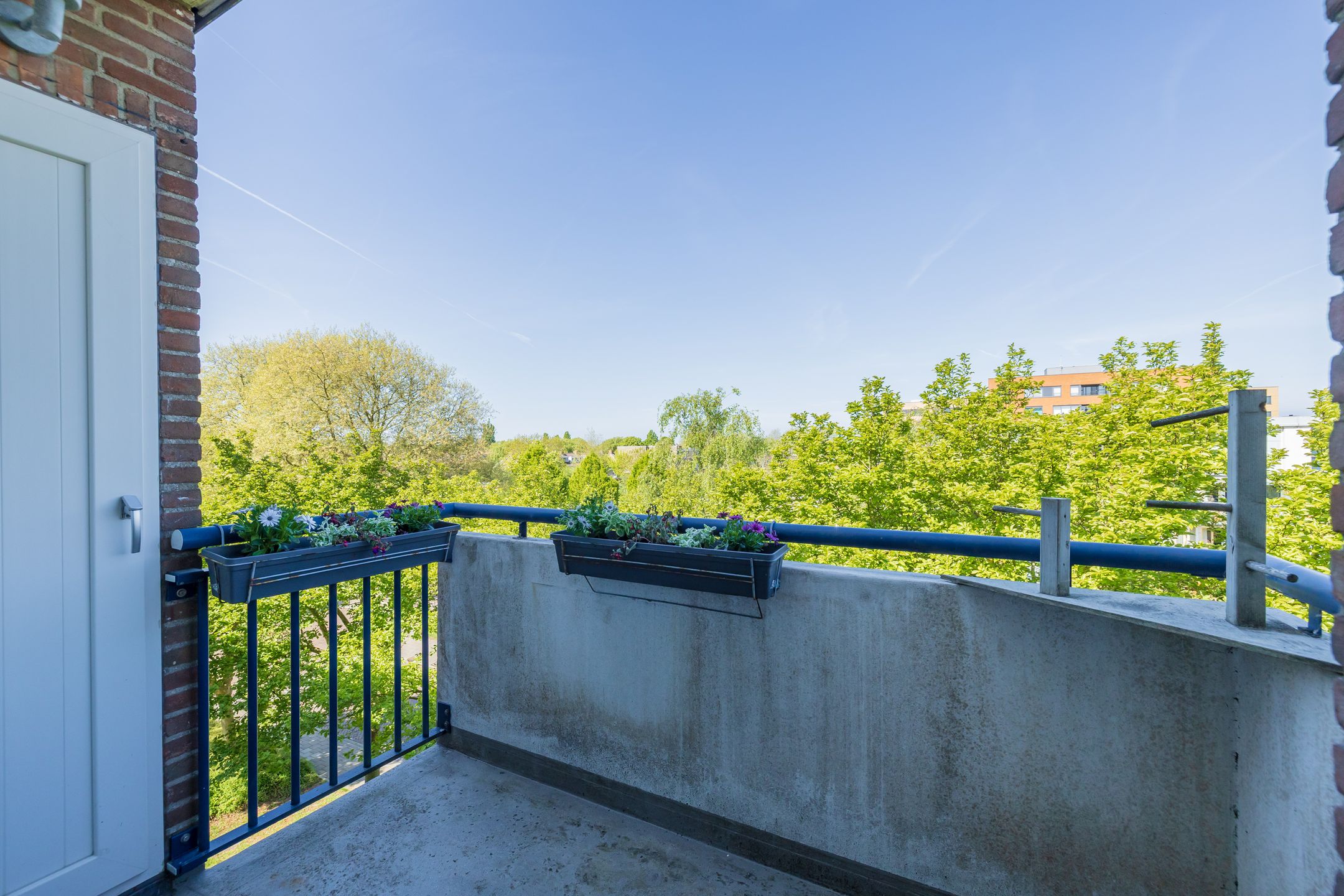 Foto 18 van Faleriolaan 299