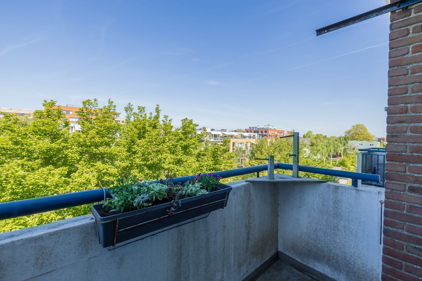 Foto 19 van Faleriolaan 299