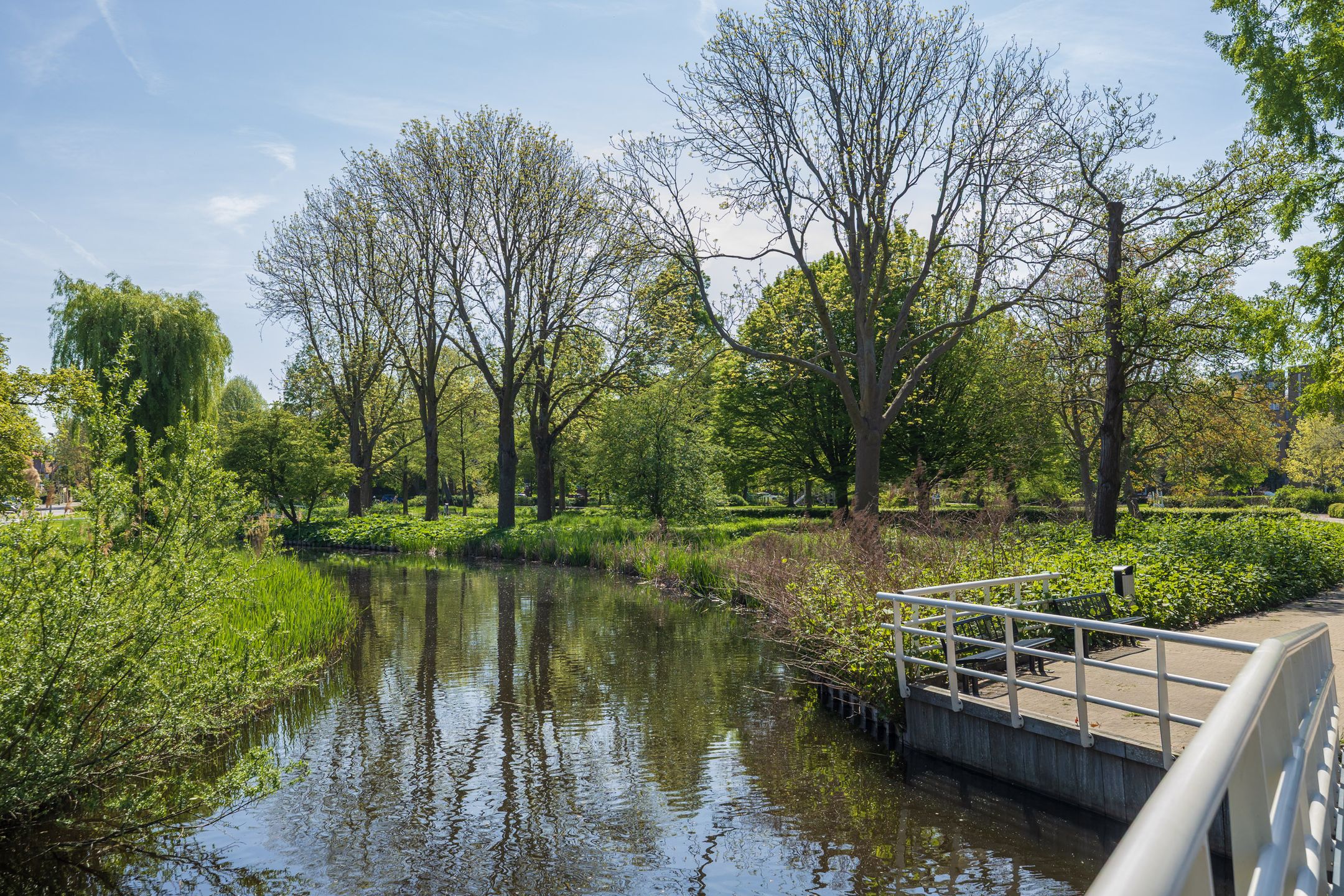 Foto 30 van Faleriolaan 299