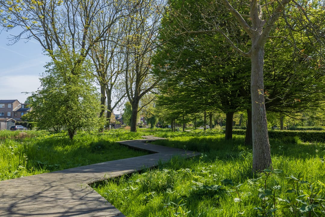 Foto 31 van Faleriolaan 299