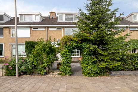 undefined main image