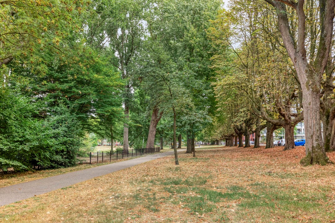 Foto 22 van Willem Hubertstraat 2