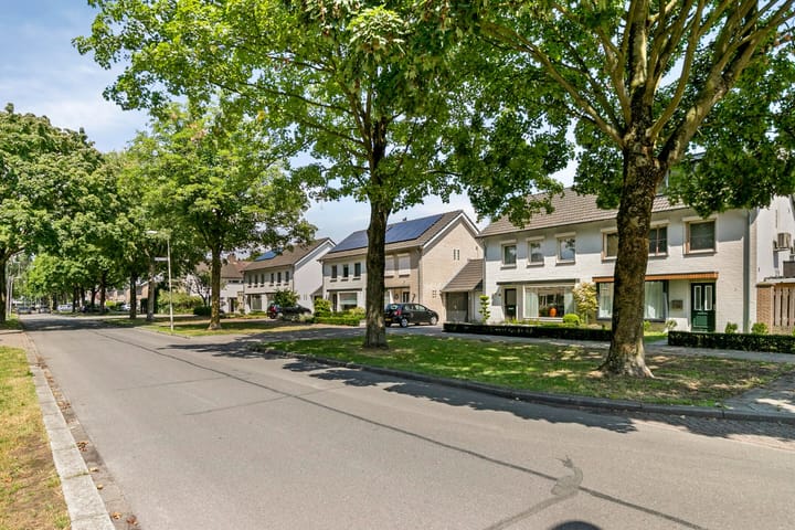 Foto 3 van Loostreeplaan 24