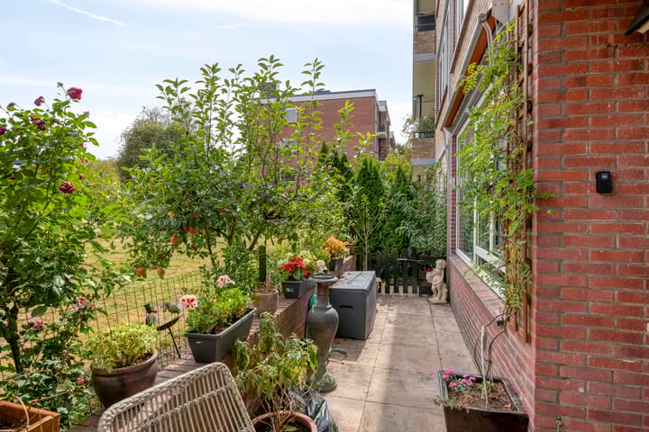 Foto 4 van Albardastraat 142