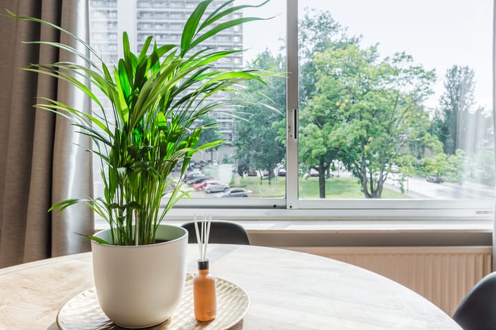 Foto 16 van Fideliolaan 148