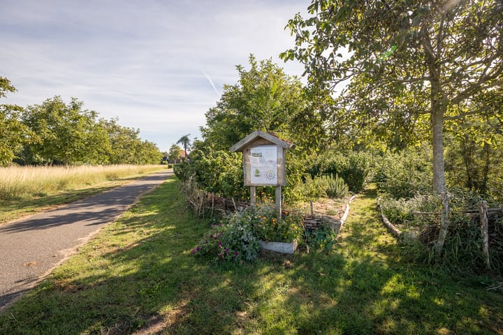 Photo 36 of Wipmolenstraat 9