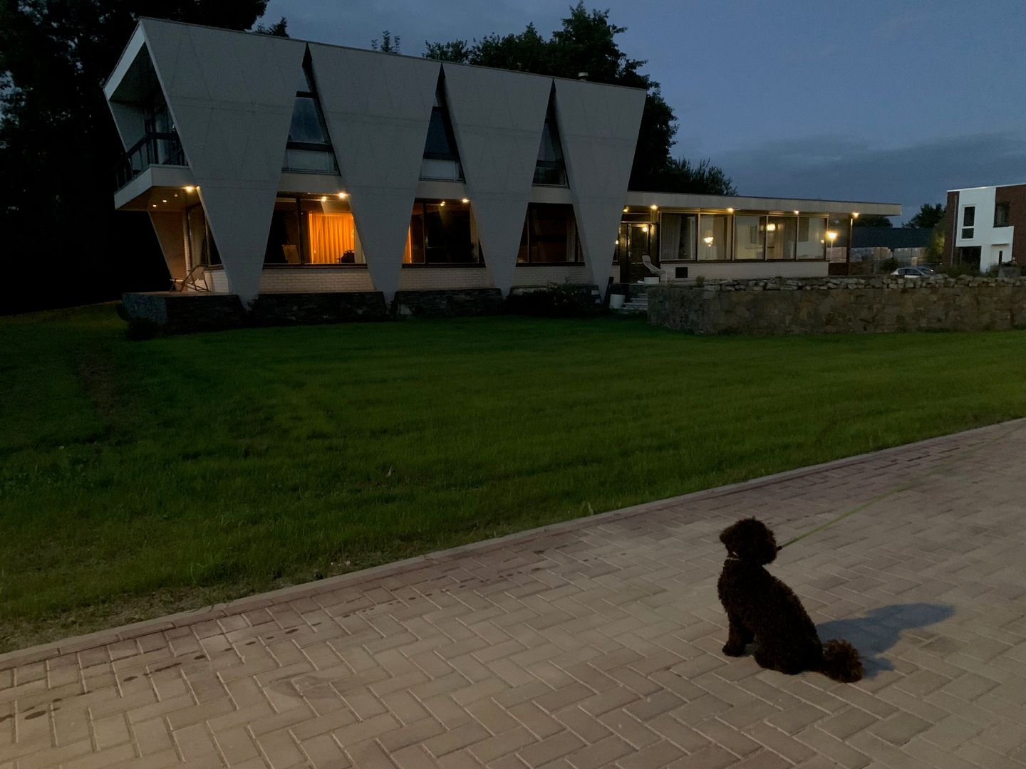 Foto 55 van Leo de Weijshof 15