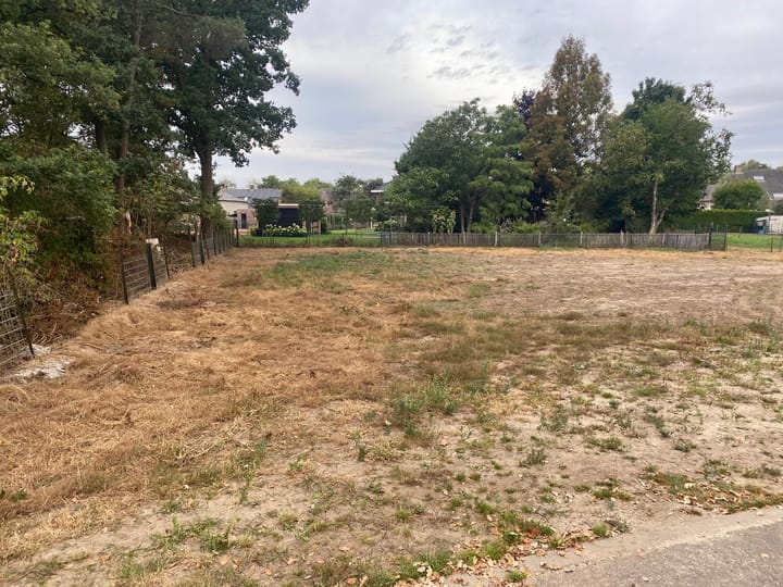 Foto 4 van Bernhardstraat