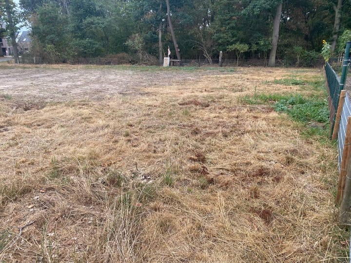 Foto 8 van Bernhardstraat